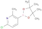 6-Chloro-2-Methyl-3-(4,4,5,5-tetraMethyl-1,3,2-dioxaborolan-2-yl)pyridine