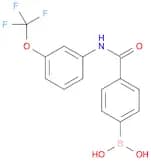 (4-((3-(trifluoroMethoxy)phenyl)carbaMoyl)phenyl)boronic acid