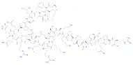 GHRELIN (HUMAN)
