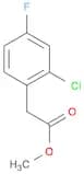 METHYL 2-CHLORO-4-FLUOROPHENYLACETATE 98