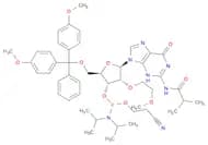 DMT-2μ-O-Me-rG(ib)  amidite