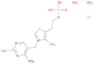 THIAMINE MONOPHOSPHATE CHLORIDE*DIHYDRAT E