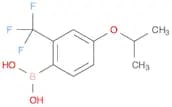 4-ISOPROPOXY-2-(TRIFLUOROMETHYL)PHENYLBORONIC ACID