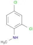 N1-METHYL-2,4-DICHLOROANILINE