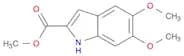 METHYL 5,6-DIMETHOXY-1H-INDOLE-2-CARBOXYLATE
