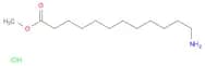 Methyl 12-aminododecanoate hydrochloride