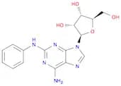 2-PHENYLAMINOADENOSINE