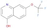 4-HYDROXY-7-TRIFLUOROMETHOXYQUINOLINE