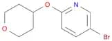 5-Bromo-2-(tetrahydropyran-4-yloxy)pyridine