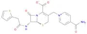 Cephalonium