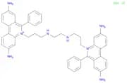 ETHIDIUM HOMODIMER