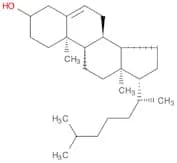 Cholesterol