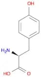 L-Tyrosine