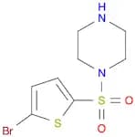 1-[(5-BROMOTHIEN-2-YL)SULFONYL]PIPERAZINE