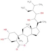 homobrassinolide