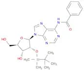 N6-benzoyl-2'-O-(tert-butyldiMethylsilyl)adenosine