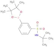 3-(tert-butylaMino)sulfonyl-phenylboronic acid pinacol ester