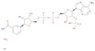 B-NICOTINAMIDE ADENINE DINUCLEOTIDE*PHOS PHATE SODIU