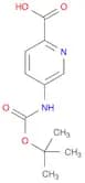 5-[(tert-butoxycarbonyl)amino]pyridine-2-carboxylic acid