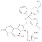 5'-O-(4,4'-DiMethoxytrityl)-3'-O-t-butyldiMethylsilyl uridine