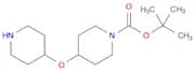 4-(Piperidin-4-yloxy)-piperidine-1-carboxylic acid tert-butyl ester