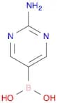 2-Amino-pyrimidine-5-boronic acid