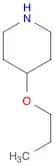 4-PROPOXY-PIPERIDINE