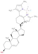 TopFluor Cholesterol