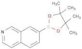 7-(4,4,5,5-tetramethyl-1,3,2-dioxaborolan-2-yl)isoquinoline
