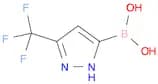 5-Trifluoromethyl-1H-pyrazole-3-boronic acid