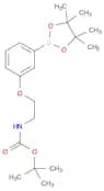 3-[2-(Boc-amino)ethoxy]phenylboronic Acid Pinacol Ester