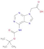 9H-Purine-9-acetic acid, 6-[[(1,1-dimethylethoxy)carbonyl]amino]-