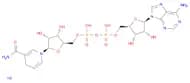 β-NADH