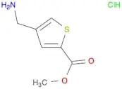 Methyl 4-(aminomethyl)thiophene-2-carboxylate, HCl