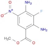 Benzoic acid, 2,4-diamino-3-fluoro-5-nitro-, methyl ester