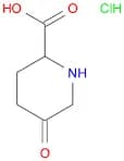 5-oxopiperidine-2-carboxylic acid hydrochloride