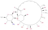 AmphotericinB