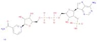 β-Nicotinamide adenine dinucleotide phosphate sodium salt hydrate