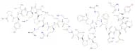 Tetracosactide