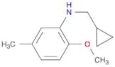 N-(cyclopropylmethyl)-2-methoxy-5-methylaniline
