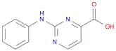 2-(Phenylamino)pyrimidine-4-carboxylic Acid