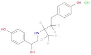 Ractopamine-d6 Hydrochloride