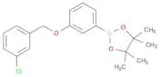 1,3,2-Dioxaborolane, 2-[3-[(3-chlorophenyl)methoxy]phenyl]-4,4,5,5-tetramethyl-
