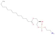 1-myristoyl-2-hydroxy-sn-glycero-3-phosphoethanolamine