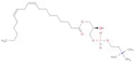 (R)-2-Hydroxy-3-((9Z,12Z)-octadeca-9,12-dienoyloxy)propyl (2-(trimethylammonio)ethyl) phosphate
