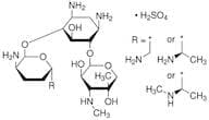 Gentamicin Sulphate (GM)