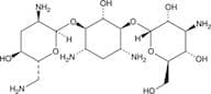 Tobramycin (TBM)