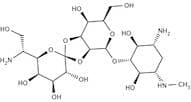 Hygromycin B (HGR), 90%