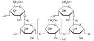 a-Glucosidase (Maltase) ex. Yeast, 100U/mg powder