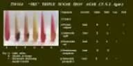 Triple Sugar Iron Agar (ISO Basis)